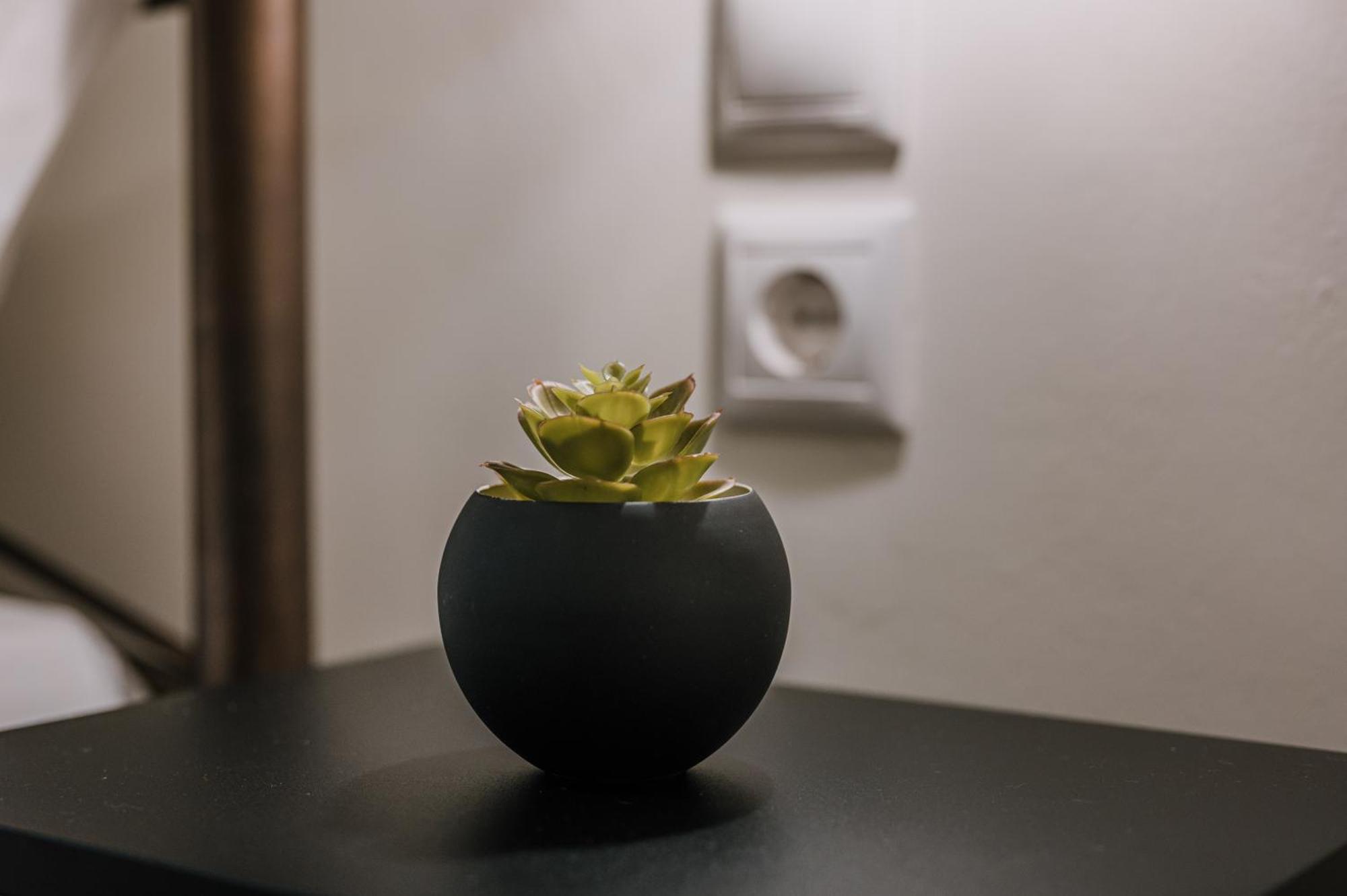 Hb Modern Apartments トロン 部屋 写真